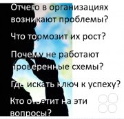 Диагностика бизнес-модели предприятия "Эволюция"
