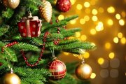 Новогодняя Акция для Организаторов. СКИДКИ, БОНУСЫ, ПОДАРКИ!