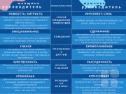 Мужской и&nbsp;женский стили управления