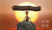 Четыре фазы реализации человека в&nbsp;деле. Различие женских и&nbsp;мужских профессий