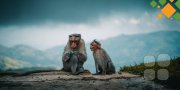 Теория "разбитых окон": для тех, кто заботится о&nbsp;бизнесе