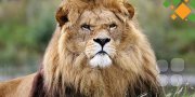 Что говорят признанные лидеры об&nbsp;учителях и&nbsp;наставниках
