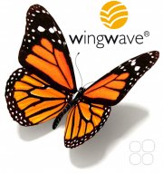 Метод wingwave&reg;&nbsp;— прорыв в&nbsp;нейрокоучинге и&nbsp;работа с&nbsp;неосознаваемыми блоками
