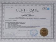 Мои дипломы и&nbsp;не только